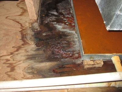 About water damage cleanup - ceiling water damage repair experts in Alexandria